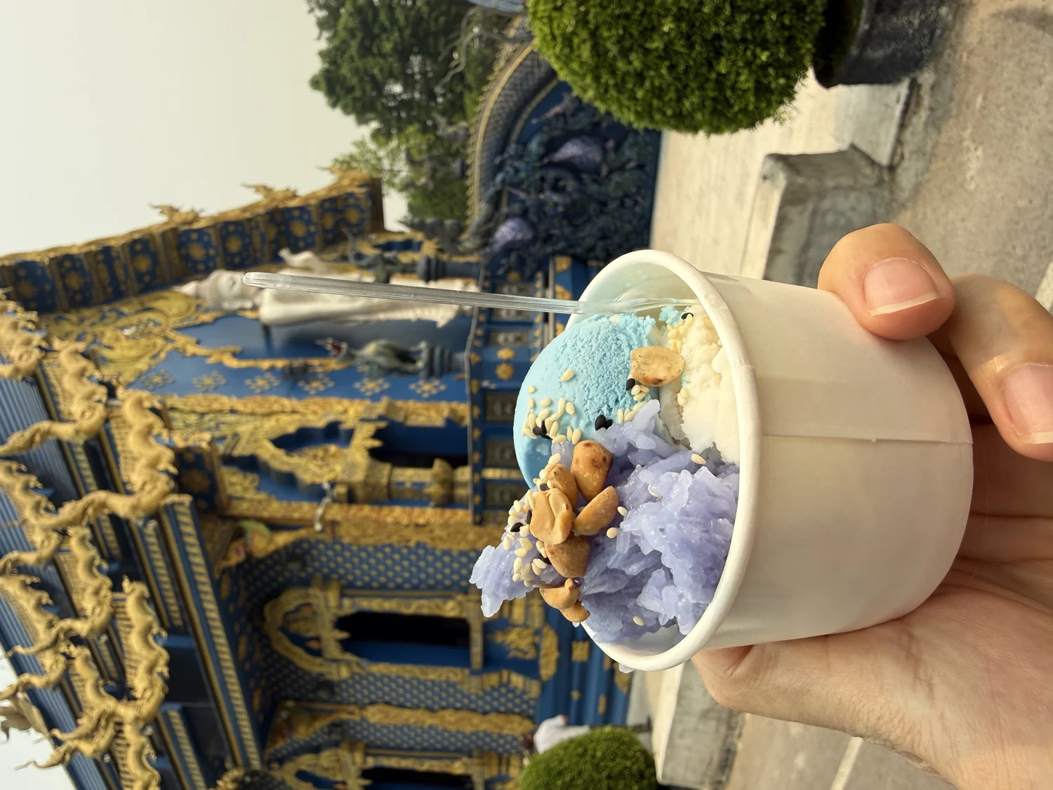 蓝庙的冰激凌都是蓝色的